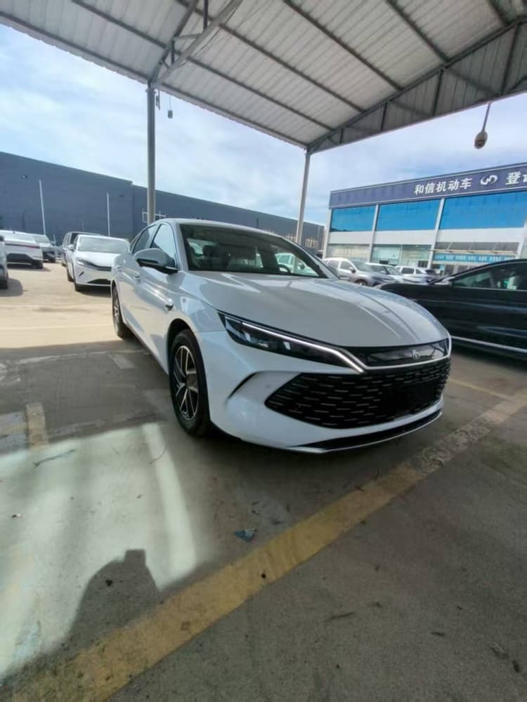 Qin L 2025 DM-i smart driving version 120KM beyond type