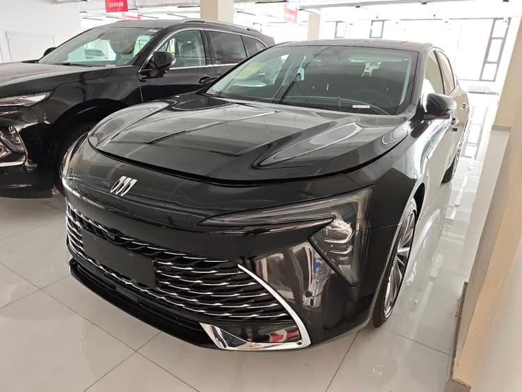 LaCrosse 2025 28T Platinum Edition