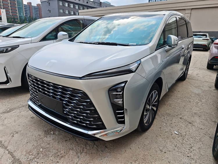 Buick GL8 New Energy 2026 Lu Zun Premium Edition