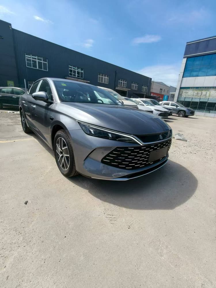 Qin L 2025 DM-i smart driving version 120KM leading model