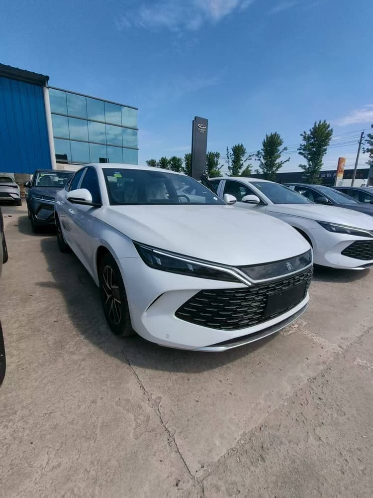 Qin L 2025 DM-i intelligent driving version 80KM beyond type