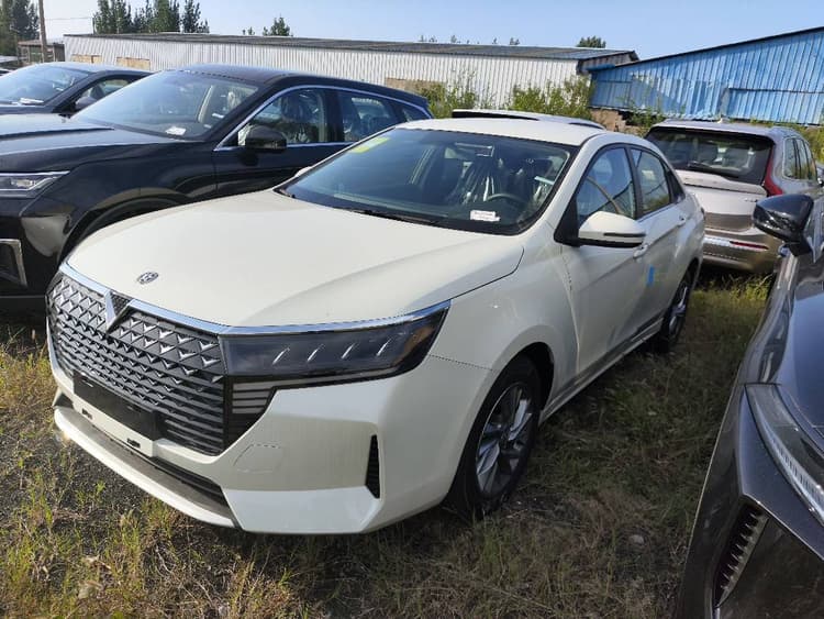 Qichen D60 2023 PLUS 1.6L XE CVT Tide Collar Edition