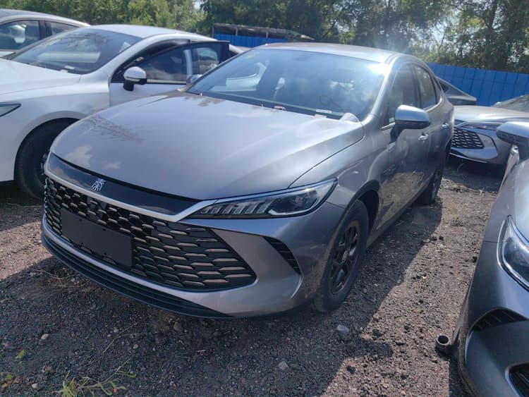 Qin PLUS 2025 DM-i Smart Driving Edition 55KM Leading Model