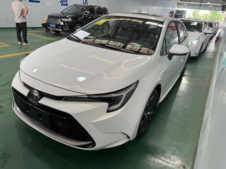 Lei Ling 2024 Intelligent Electric Mixed Double Qing 1.8L Deluxe Edition